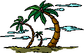 Hawaii Activities 800-459-7156