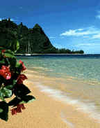 Hawaii Islands vacation rentals