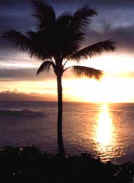 Mexico vacation rentals