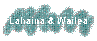 Lahaina & Wailea