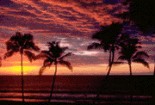 Lahaina & Wailea vacation rentals